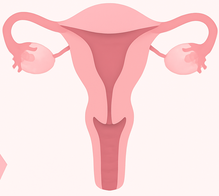 Vaginal health illustration